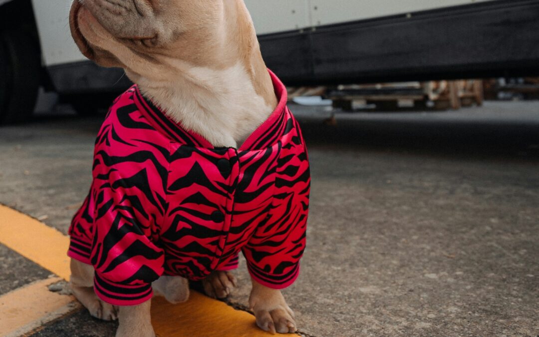 On the Road, Never Alone: How Pet Companions Transform Trucking