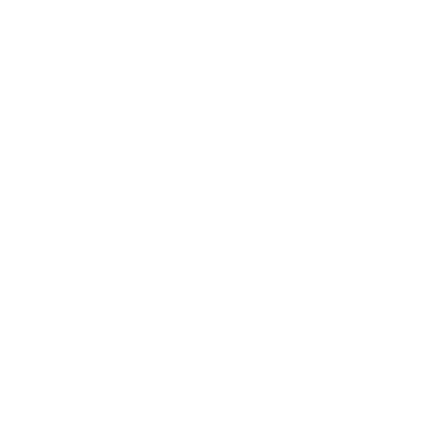 Dash Cams